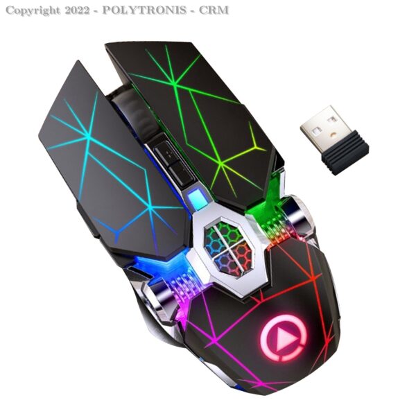 Souris Sans Fil Rechargeable – Gaming 2,4 G - WiFi