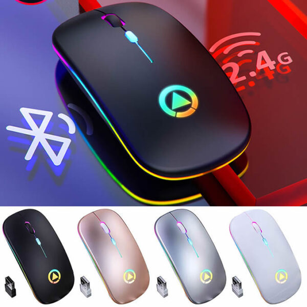 Souris Sans Fil Rechargeable - Bluetooth/Sans Fil – 2,4 G